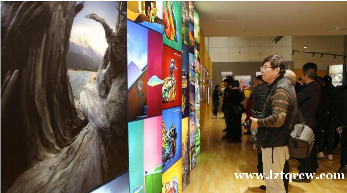 第五届全国青年摄影大展于苏州启幕