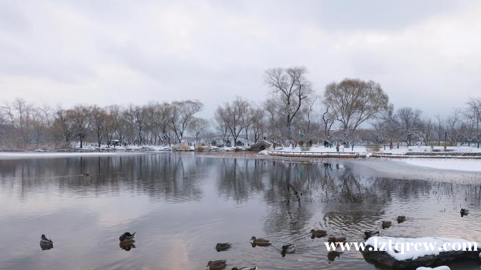 迎今冬初雪 超8万人到北京市属公园赏景游玩