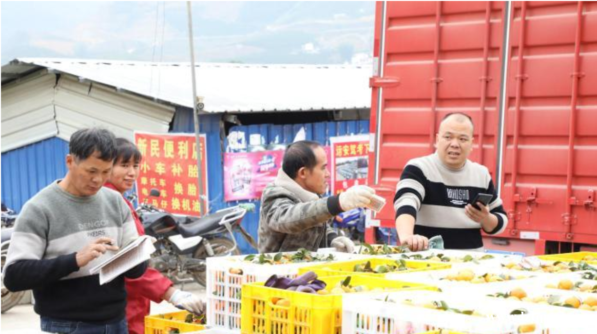 广西百色西林县村民家门口可扫码反映问题 政府后台接单办理