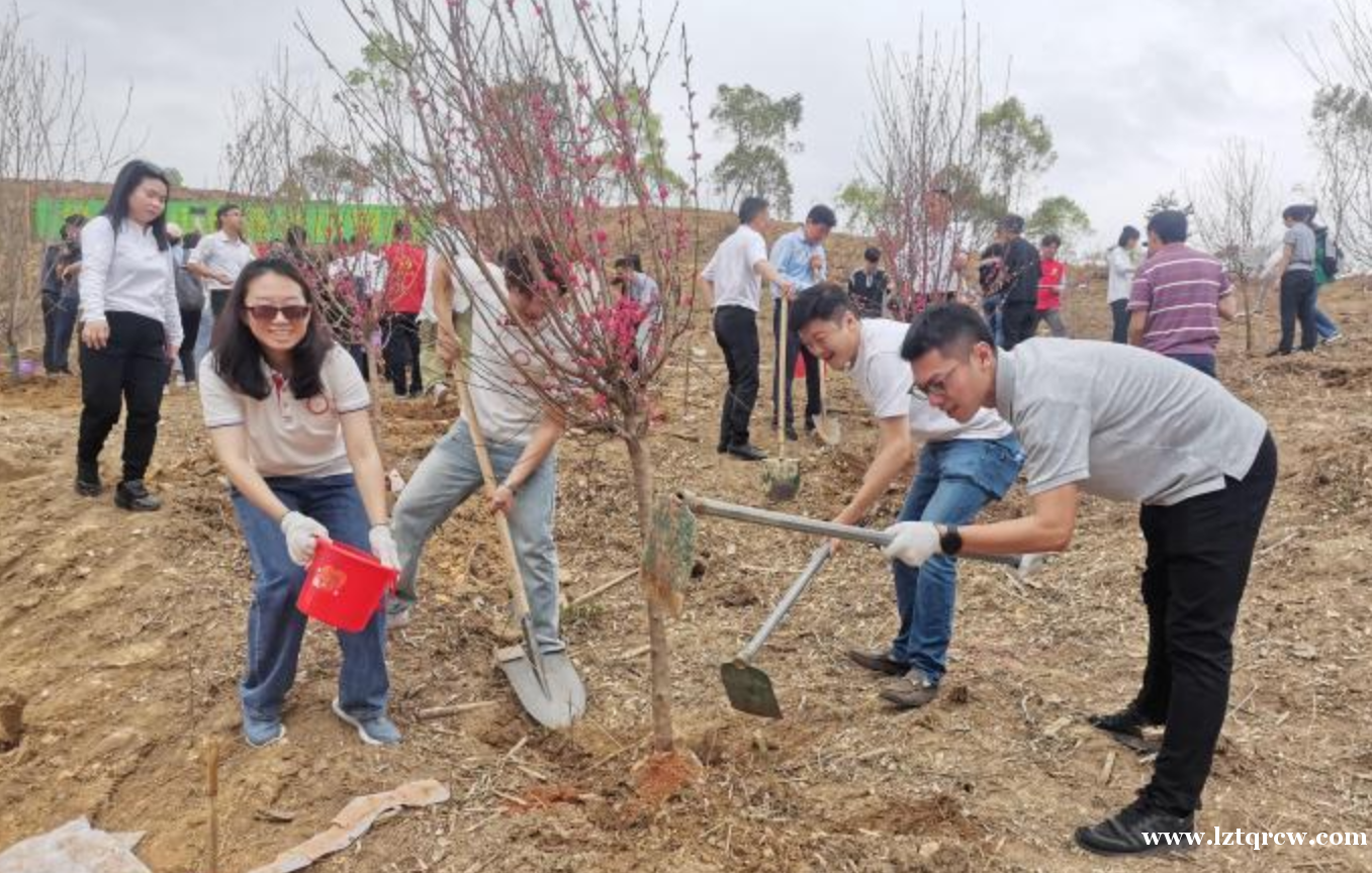 粤港澳青年在惠州共植“同行树”助力生态建设